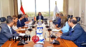 وداعًا للطوابير.. خطوة رسمية لتطوير المنافذ التموينية بأنظمة إلكترونية متكاملة 1